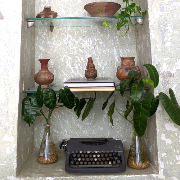 Meet your Posher, Jill - Picture 1 of 1